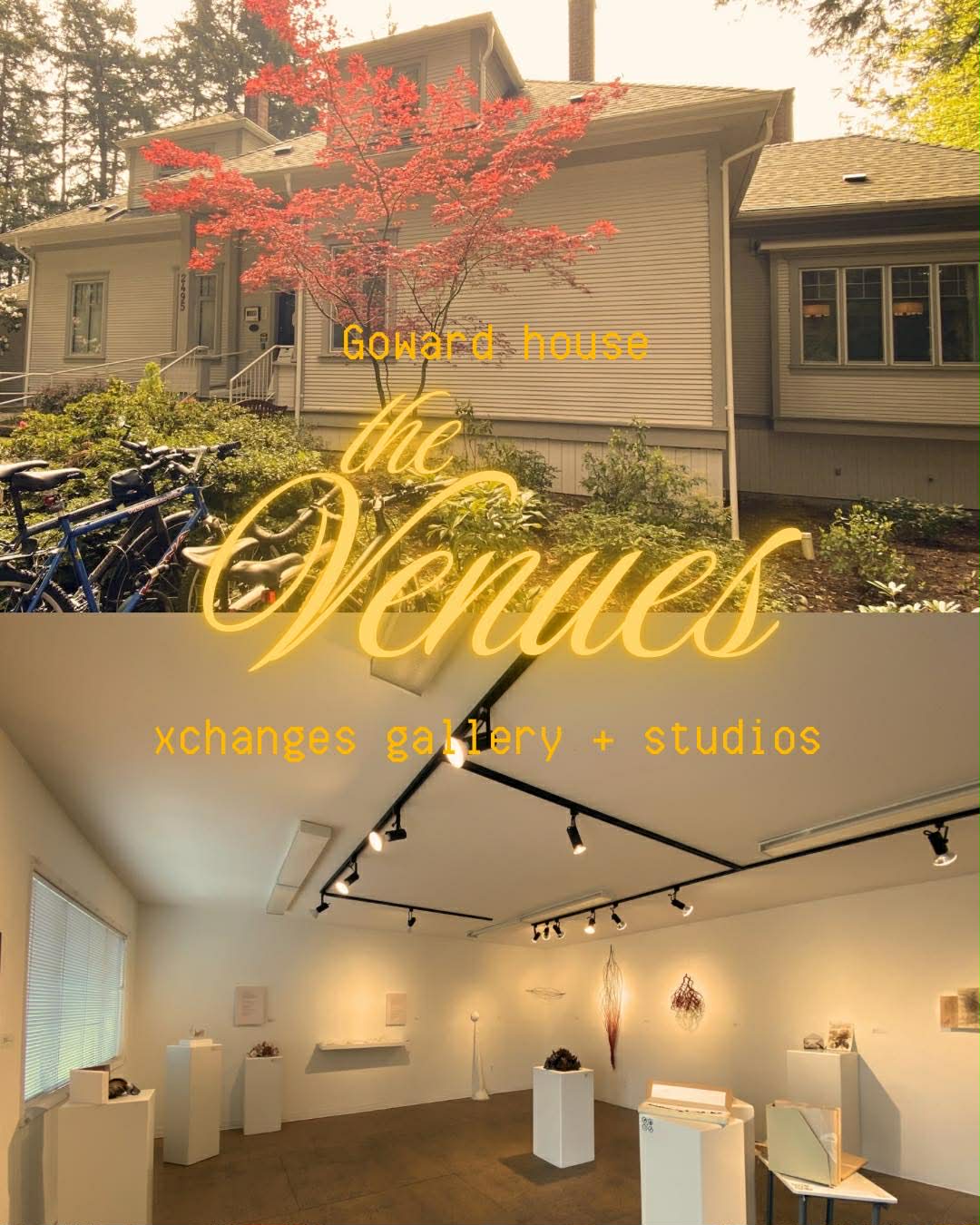 sssvenues.jpg